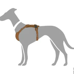 Hunter Hundesele Aalborg cognac XS - Bryst/hals 38-52 cm