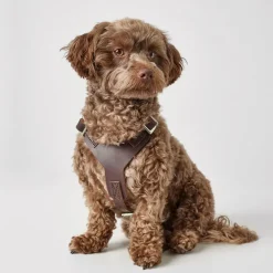 Hunter Hundesele Aalborg Mørkebrun XS - Bryst/Hals 38-52 cm