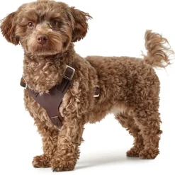 Hunter Hundesele Aalborg mørkebrun S-M/2 - Bryst/hals 51-64 cm