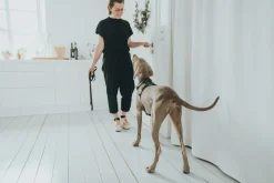 Hunter Hundesele Aalborg Sort S-M/1 - 44-56 cm bryst/hals