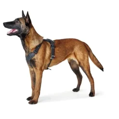 Hunter Hundesele Aalborg Sort M-L/2 - 62-90 cm bryst/hals