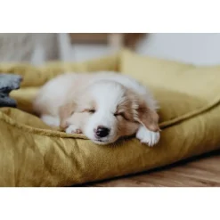 Hunter hundeseng Eiby Medium 80x60 cm Gul