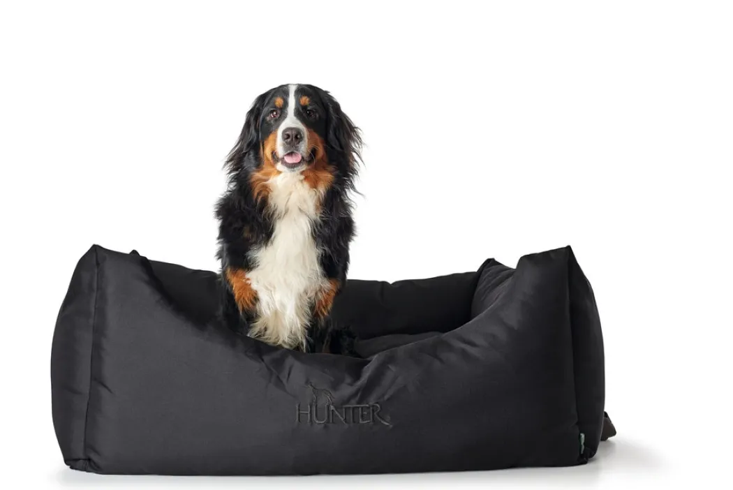 Hunter hundeseng Gent antibakteriel Medium 80x60 cm Sort