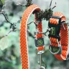 Hunter Hundesnor Hilo Orange 20/200