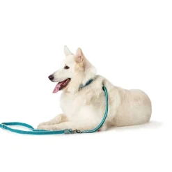 Hunter Hundesnor Hilo Turkis 25/200