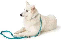 Hunter Hundesnor Hilo Turkis 15/200