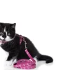 Hunter Kattesele Pink