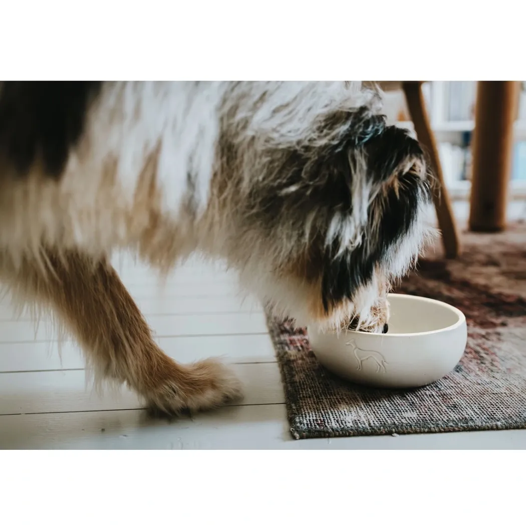 Hunter keramik Lund hunde skål 1500 ml Beige