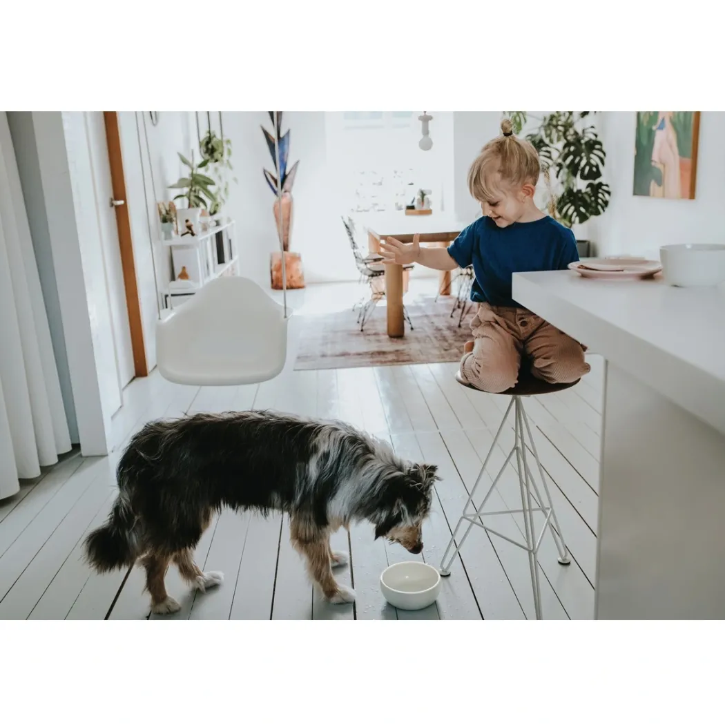 Hunter keramik Lund hunde skål 1500 ml Beige