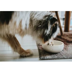 Hunter keramik Lund hunde skål 550 ml Beige