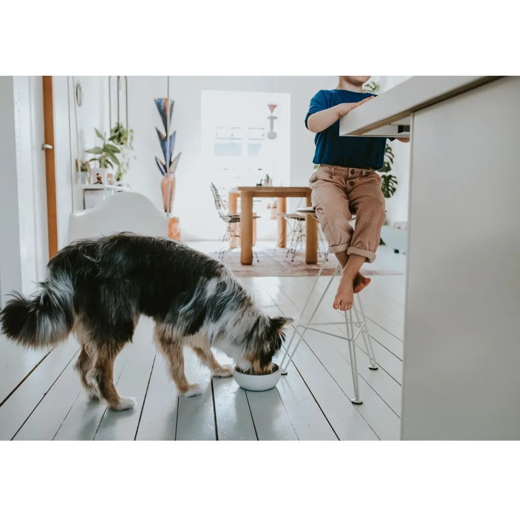 Hunter keramik Lund hunde skål 350 ml Beige