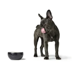 Hunter Keramik Lund Hunde Skål 350 ml Sort