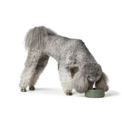 Hunter Keramik skål Osby 1900 ml khaki