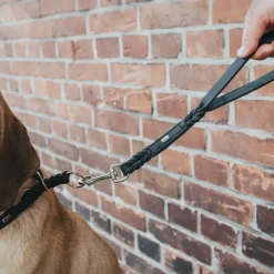 Hunter Kort Hundesnor Solid Education sort