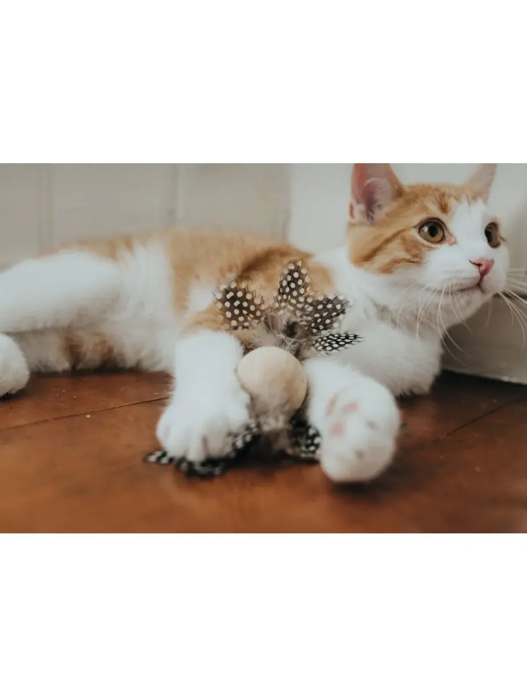 Hunter Mala Kugle kattelegetøj i beige.