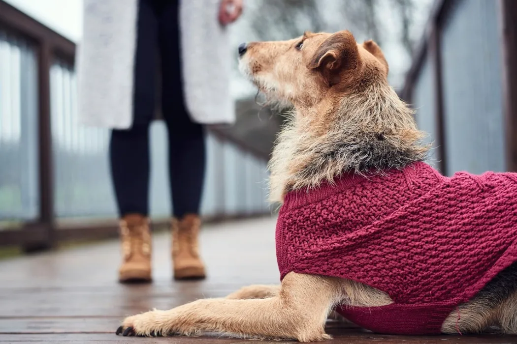 Hunter Malmø pullover strik bordeaux str. 30