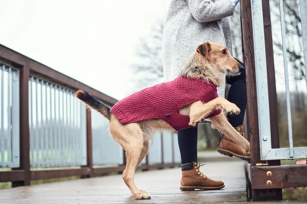 Hunter Malmø pullover strik bordeaux str. 30