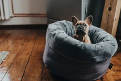 Hunter Miranda donut seng M Ø 50 cm Mørkegrå