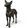Hunter Mixed Aalborg læder hundesele XS-S grøn/grå hals 40-50 cm - komfort og kvalitet