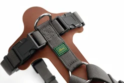 Hunter Mixed Aalborg læder hundesele XS-S cognac/grå hals 40-50 cm - blød og sikker pasform
