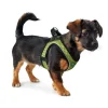 Hunter NY Hilo Comfort hundesele XS lime mave/bryst 36-40 cm - Let komfort og fri bevægelse