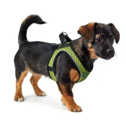 Hunter NY Hilo Comfort hundesele S lime mave/bryst 46-52 cm - Let komfort med stabil pasform