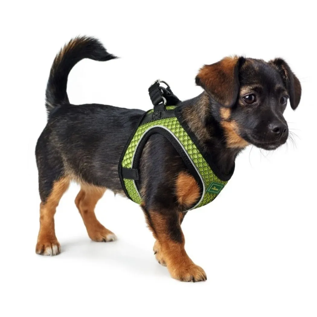 Hunter NY Hilo Comfort hundesele S-M lime mave/bryst 52-58 cm - Fleksibel støtte og komfort