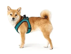 Hunter NY Hilo Comfort hundesele XXS turkis mave/bryst 31-33 cm - Ultralet komfort til små hunde
