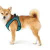Hunter NY Hilo Comfort hundesele XS turkis mave/bryst 36-40 cm - Let komfort og fri bevægelse