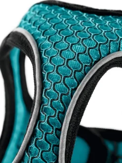 Hunter NY Hilo Comfort hundesele S-M turkis mave/bryst 52-58 cm - Fleksibel komfort og støtte