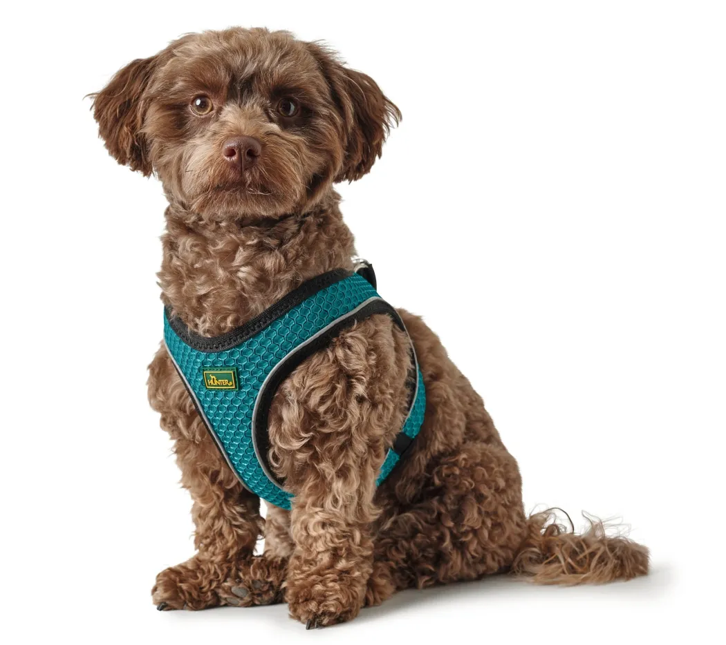 Hunter NY Hilo Comfort hundesele S-M turkis mave/bryst 52-58 cm - Fleksibel komfort og støtte