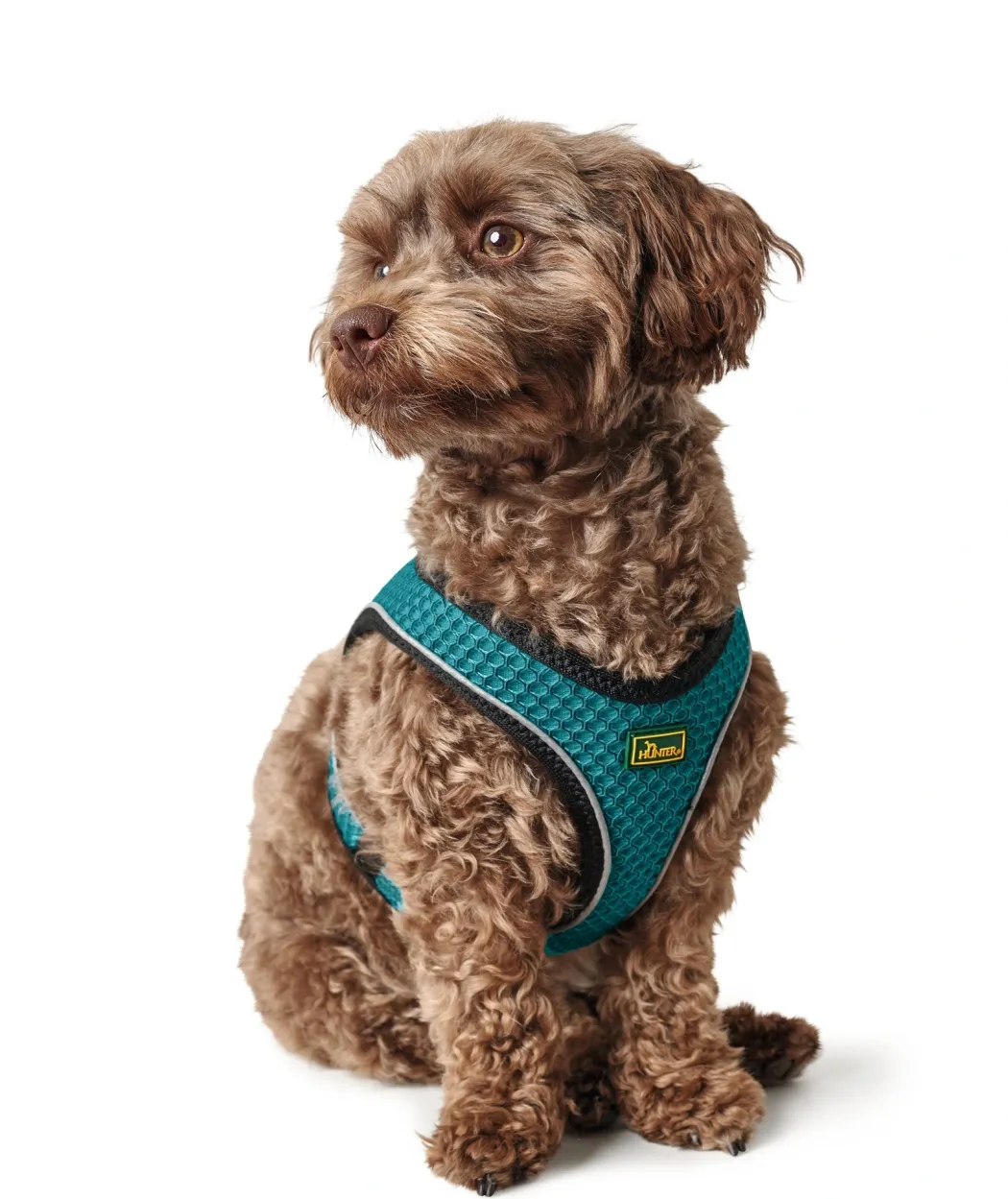 Hunter NY Hilo Comfort hundesele S-M turkis mave/bryst 52-58 cm - Fleksibel komfort og støtte