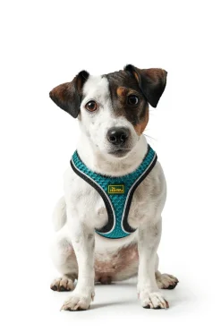 Hunter NY Hilo Comfort hundesele S-M turkis mave/bryst 52-58 cm - Fleksibel komfort og støtte