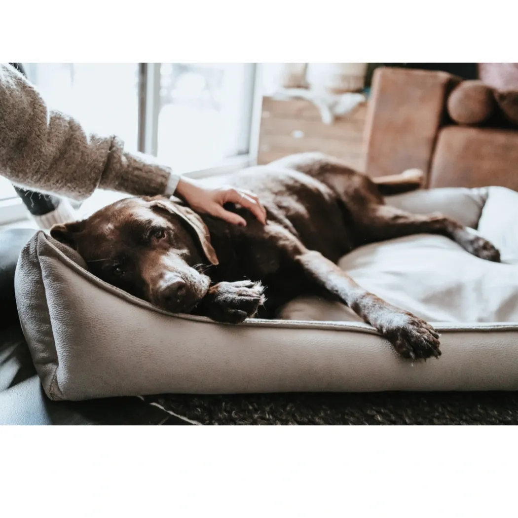 Hunter Ortho Merida hundeseng M 70x50 cm Taupe