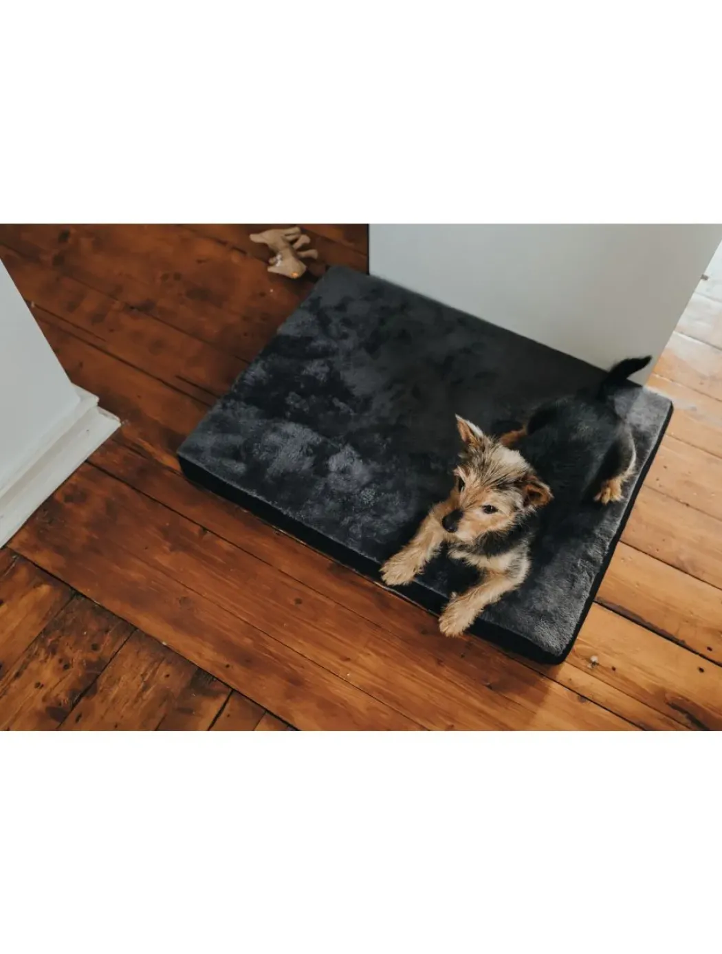Hunter ortopædisk hundemadras Tirano L 100x65x8 cm i sort og grå