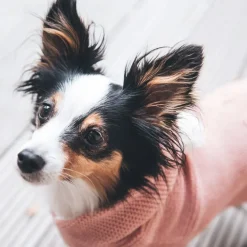 Hunter Röglatrøje 30 Rosa