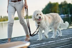 Hunter Sansibar Solid 55 Hundehalsbånd i læder - 43-49 cm