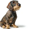 Hunter Soho Mini Hundehalsbånd Sort 24-29 cm