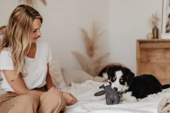 Hunter Tirana Bjørn S - bamse til små hunde