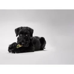 Hunter Training Snack Dummy Sort M - træningslegetøj til hunde