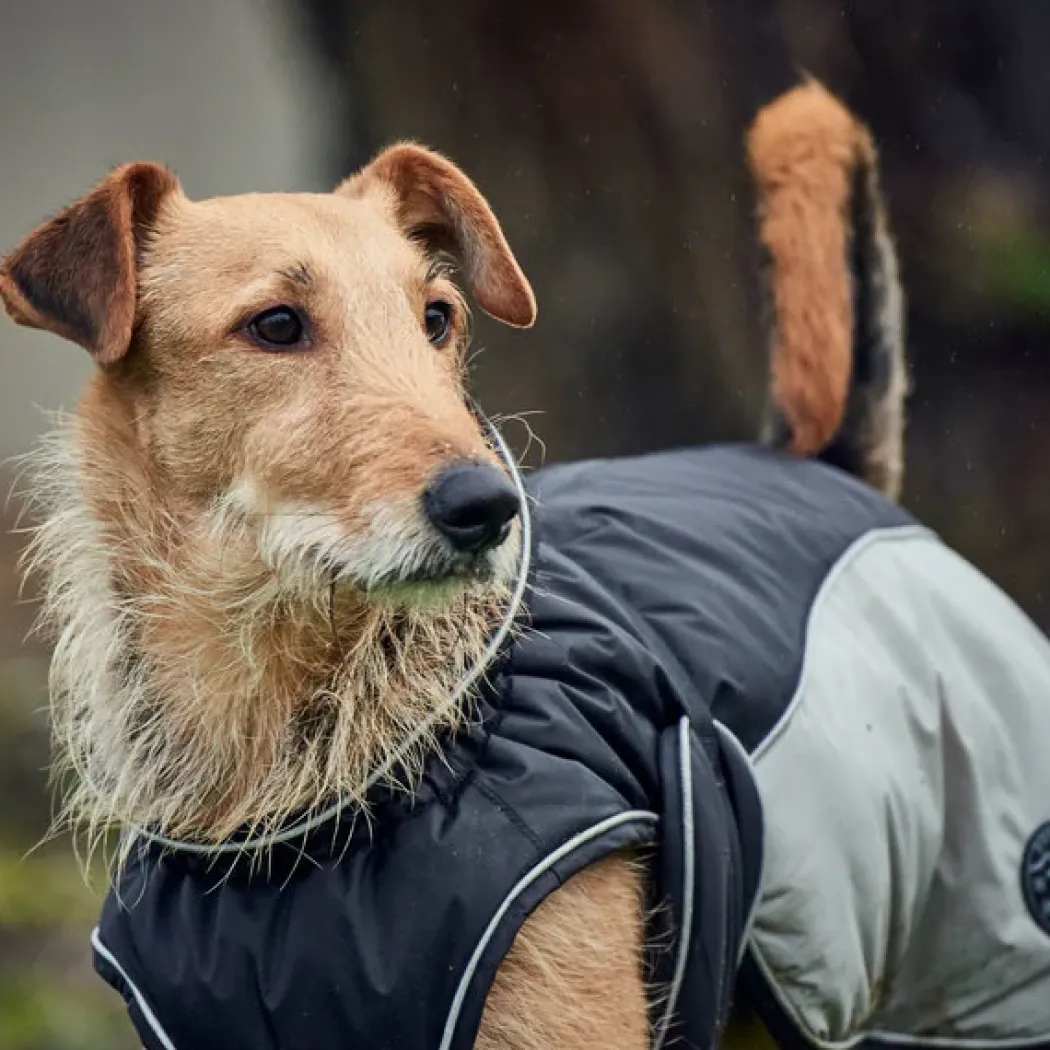 Hunter Uppsala Hundefrakke Grå 70 cm