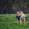 Hunter Uppsala Hundefrakke Grå 40 cm