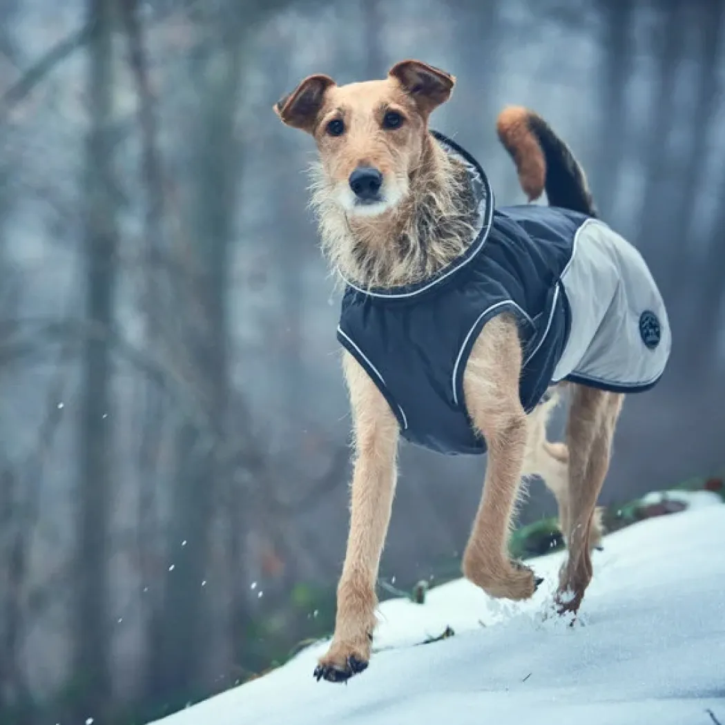 Hunter Uppsala Hundefrakke Grå 40 cm