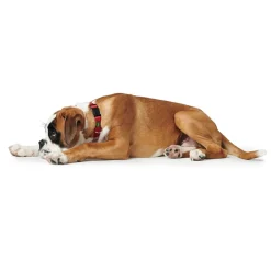Hunter Vario Plus Halsbånd Rød S 30-45 cm - Komfortabelt og justerbart hundehalsbånd