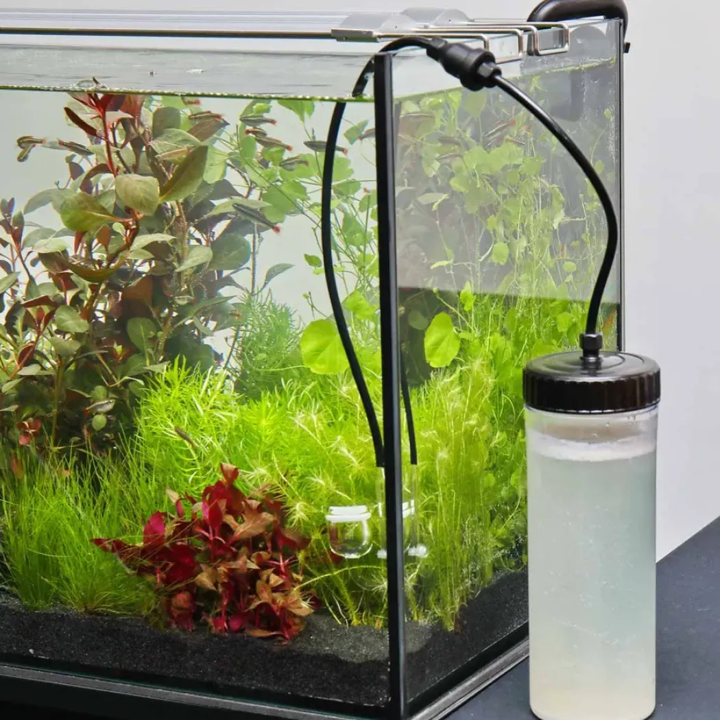 JBL Proflora Co2 Basic Bio Set