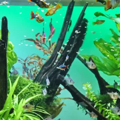 JBL ProNovo Bel fiskefoder 1 liter Flagefoder