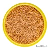 JBL ProNovo Betta Insektsticks S 100 ml