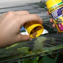 JBL ProNovo Corydoras Tab M 100 ml