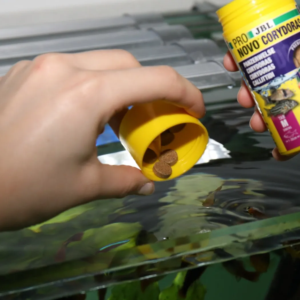 JBL ProNovo Corydoras Tab M 100 ml