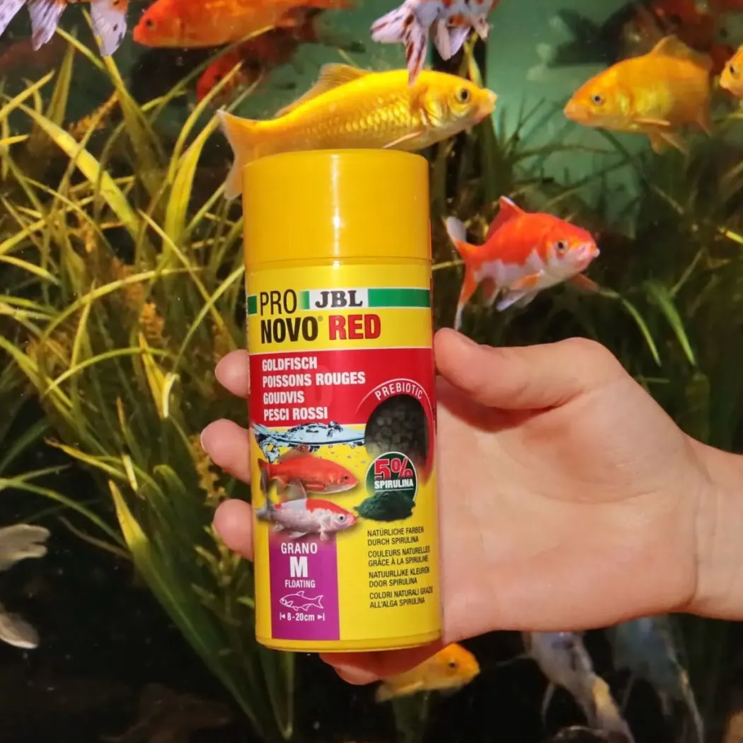 JBL ProNovo Red Grano M Guldfiskefoder 250 ml